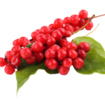 Schisandra Berry transparent png