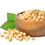 soya isoflavones transparent png