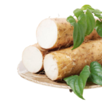 wild yam transparent png
